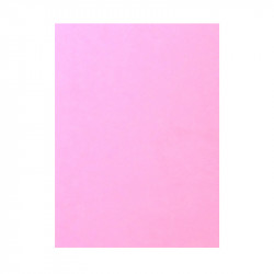Carpeta presentación de cartulina A4 rosa